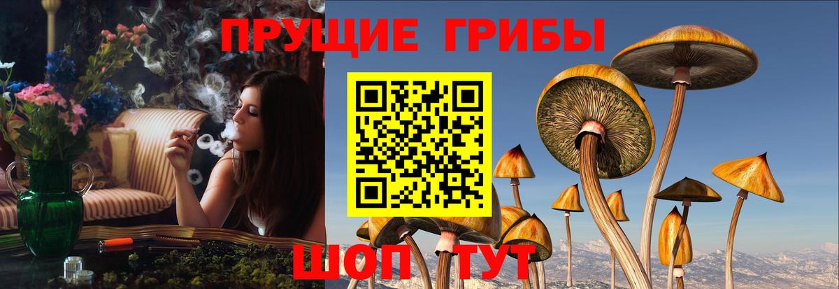 Псилоцибиновые грибы MAGIC MUSHROOMS Мегион